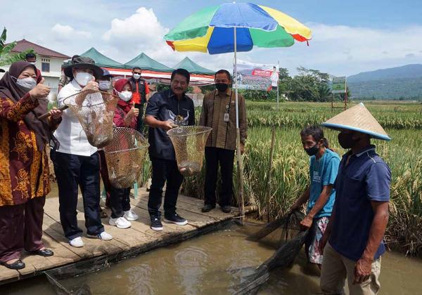 Petani Panembangan Sukses Kembangkan Mina Padi, DPR dan KKP Apresiasi