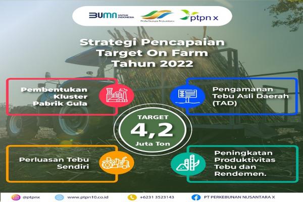 Inilah Empat Strategi PTPN X Capai 4,2 Juta Ton Tebu