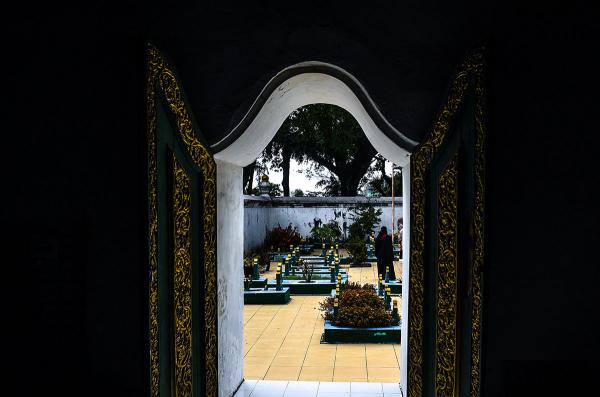 a sample image