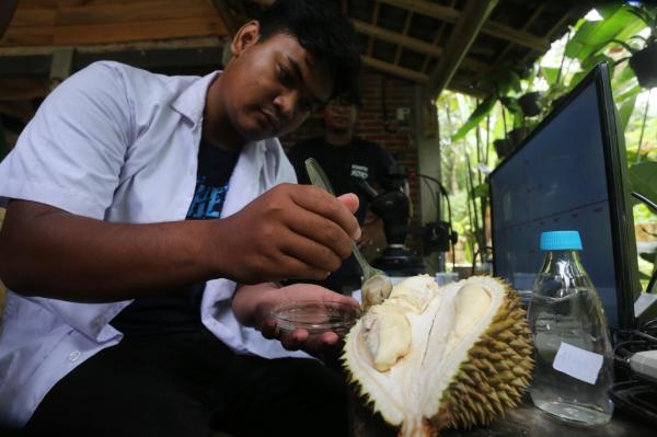 Uji Mikroplastik Durian Wonosalam