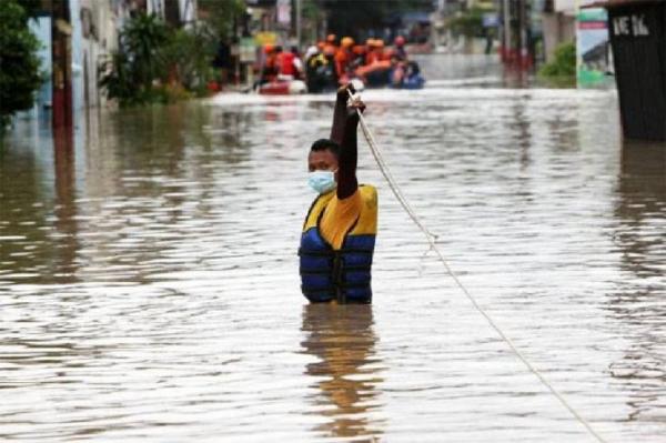 Diguyur Hujan 4 Hari, 30 Hektare Sawah TTU NTT Terendam Banjir 1 Meter