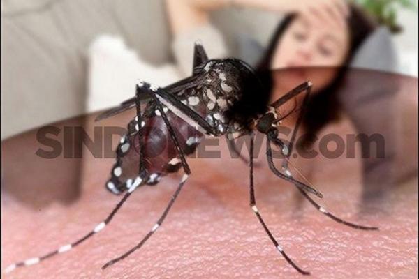 Depok Siaga DBD: Dinkes Gempur Nyamuk Aedes Aegypti dengan Beragam Strategi