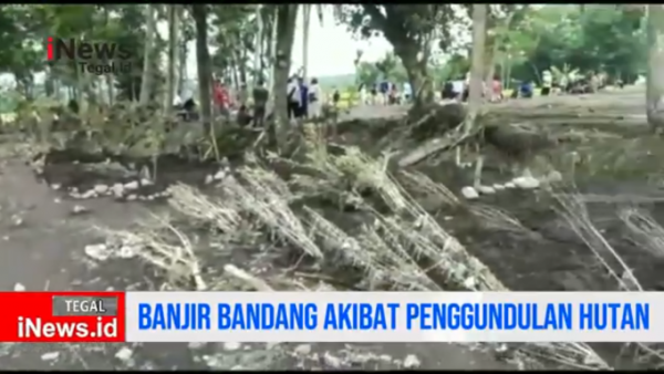 Video Banjir Bandang di Bumiayu Terjadi Akibat Penggundulan Hutan