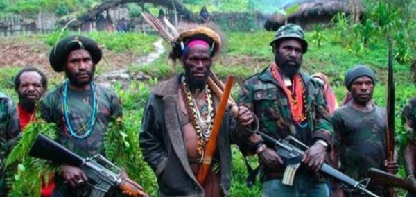 KKB Papua Pelaku Penyerangan Pekerja Dipimpin Terry Aibon