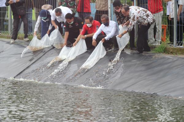KKP Bersama Komisi IV DPR Bantu 25 Ribu Bibit Ikan di Kalibagor