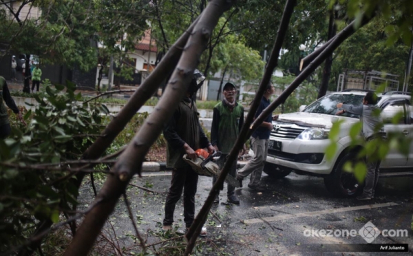 Bekasi Dilanda Angin Kencang, Pohon Tumbang, Satu Pemotor Tewas Tertimpa Tiang Penunjuk Jalan