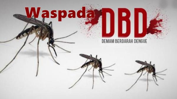 Cegah Kasus DBD,  Aparatur Wilayah di Bogor Basmi Sarang Nyamuk