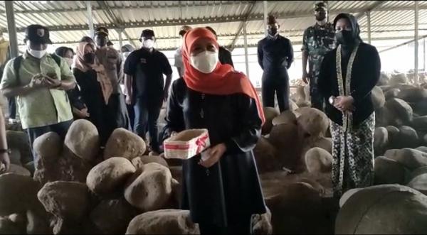 Ritual Ibu Negara Baru, Tiga Srikandi Jawa Timur Ambil Tanah ‘Kramat’ Situs Kumitir Majapahit