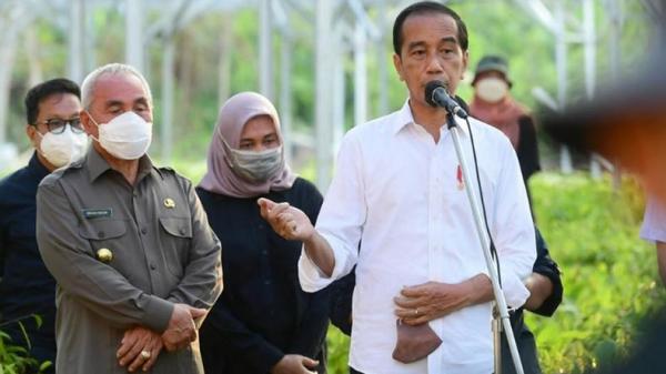 Ikut Kemah Presiden di IKN Nusantara, Isran dan Jokowi Ngobrol hingga Malam