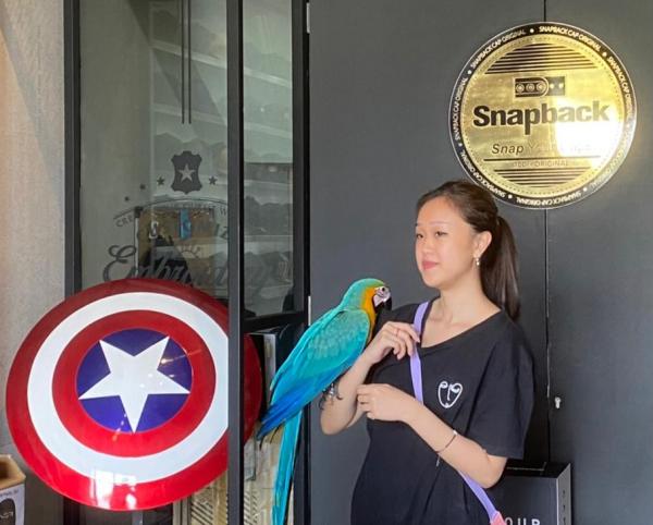 Snapback.ind Produsen Topi Yang Kantongi Lisensi Marvel