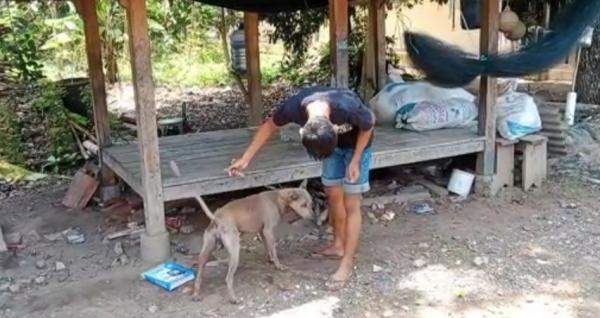 Cerita Anjing kampung Milik Warga, Bantu Temukan Pelaku Penyelundupan Sabu Yang Sempat Kabur