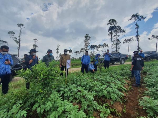 Menjelang Ramadhan dan Idul Fitri, Pemkab Garut Jamin Komoditas Hortikultura Aman