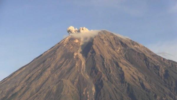 Gunung Semeru Semburkan Awan Panas, Kolom Abu 1000 Meter