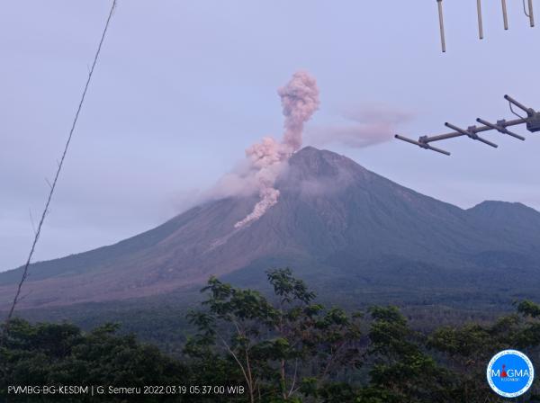 Gunung Semeru Kembali Erupsi, Berikut Imbauan PVMBG untuk Masyarakat