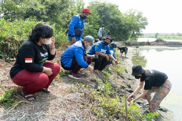 Bukti Peduli Lingkungan, Super Agen Gandeng Earth Hour Surabaya Tanam Mangrove Bersama