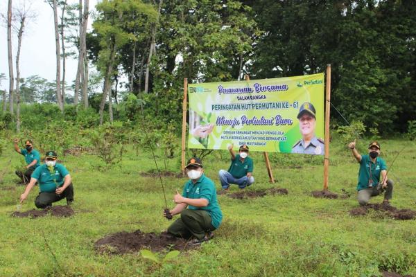 HUT ke-61, Perhutani Kediri Tanam Pohon di Hutan Jatirejo
