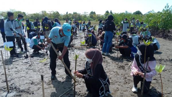 Mahasiswa Fisip Unigal Ciamis dan Warga Tanam Bibit Mangrove di Pangandaran