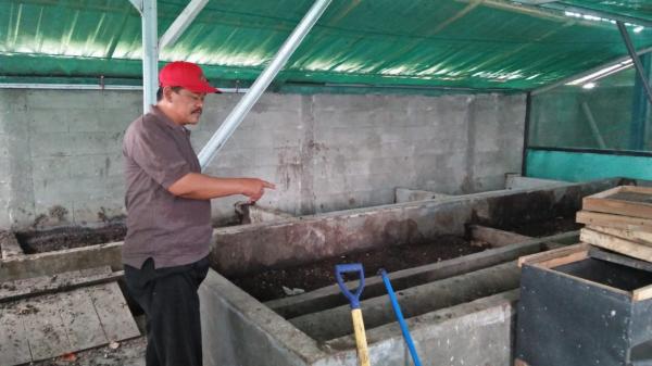 Desa Sekaran Sukses Manfaatkan Sampah Untuk Budidaya Maggot