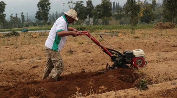 Mentan: Produksi Hasil Pertanian Bisa Meningkat Jika Ditunjang Kondisi Infrastruktur Pertanian