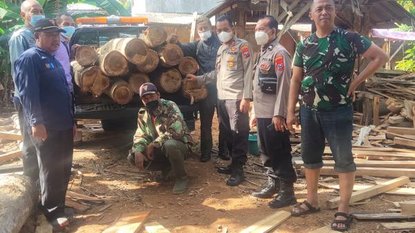 Pelaku Illegal Logging Ditangkap, Sempat Melarikan Diri dan Dikejar Aparat Penegak Hukum