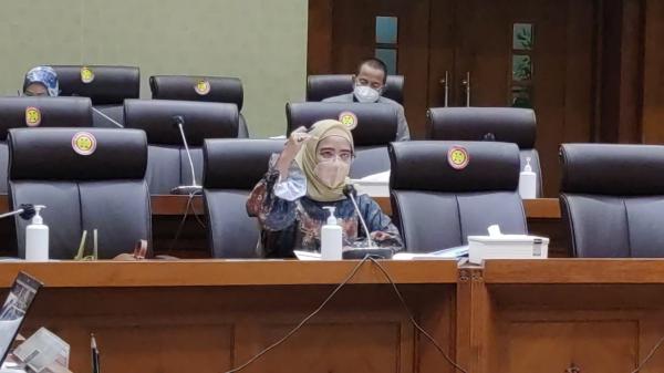 RDP dengan 4 Kementerian, Dewi Aryani Desak Pemerintah Percepat Nakes Honorer Jadi PPPK