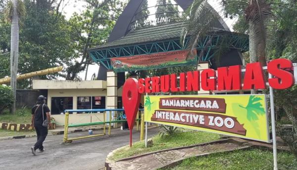 Pawang Tewas Diterkam Harimau, TRMS Serulingmas Tutup Sementara Guna Penyidikan 