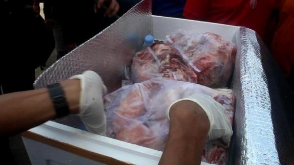 Penyelundupan 300 Kilogram Daging Babi ke Kota Samarinda Digagalkan Petugas