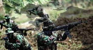 Satu Prajurit Marinir Tewas Ditembak KKB di Nduga Papua