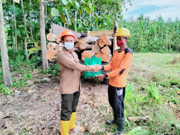 Perhutanai Banyuwangi Selatan Bagi Sembako untuk Pekerja Tebang