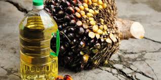 Imbas Larangan Ekspor CPO Indonesia, Negara India Bakal Krisis Minyak Sayur