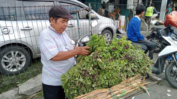 Jelang Lebaran, Pedagang Bunga di Pasar Sumber Cirebon Sepi Pembeli