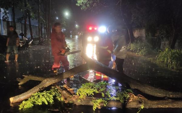 Banjir dan Pohon Bertumbangan Di Kota Tangerang, Dihajar Hujan Lebat Dan Angin Kencang