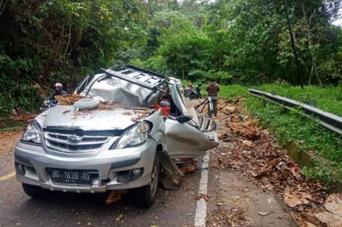 Pohon Tumbang Menimpa Mobil , 1 Pemudik Tewas dan Lainnya Terluka