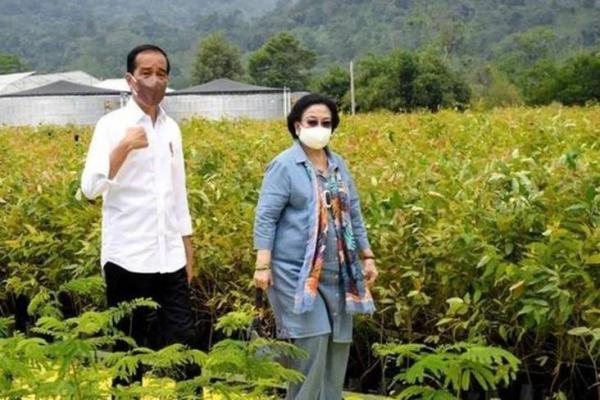 Prabowo-Puan Potensial Maju di Pilpres 2024, Pengamat: King Maker Jokowi dan Megawati