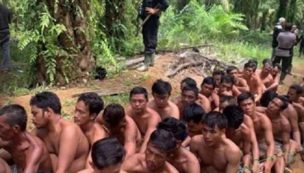 Dituduh Curi Sawit, Polisi Tahan 40 Petani, Kades Ajukan Penangguhan Penahanan