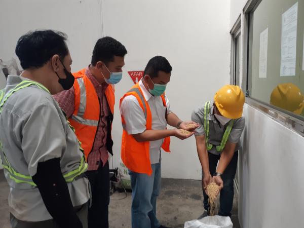 Bulog Cabang Cirebon, Salurkan 730 Ton Kedelai Subsidi bagi Pengrajin Tahu Tempe
