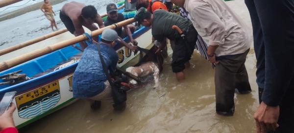 Ditemukan Terlilit Jaring Nelayan, 3 Hari Hilang Wisatawan Pandeglang Tak Bernyawa