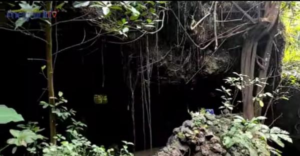 Gua Purba Misterius Tersembunyi di Tengah Hutan Perbatasan Jombang-Mojokerto