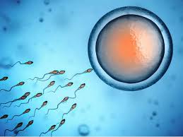 Perlu Diketahui, Benarkah Menelan Sperma Bisa Membuat Hamil?