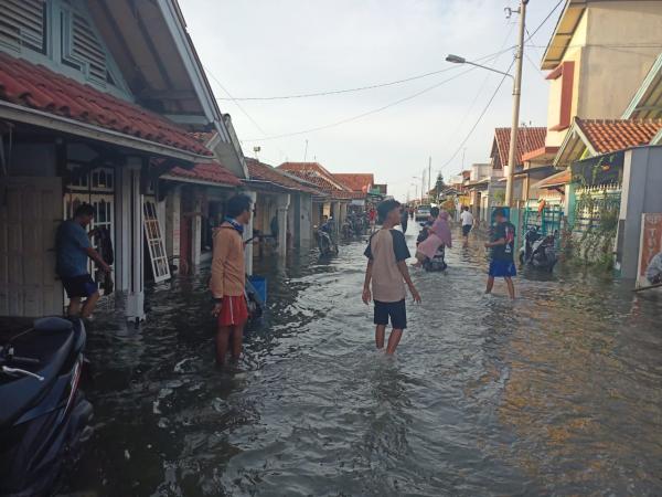 Banjir Rob Kembali Rendam Pemukiman Warga di Brebes dan Tegal