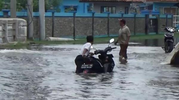 Banjir Rob Rendam Ratusan Rumah dan Jalan Protokol di Pekalongan