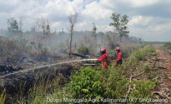 Lahan 3,5 Hektare di Singkawang Kalimantan Barat Terbakar
