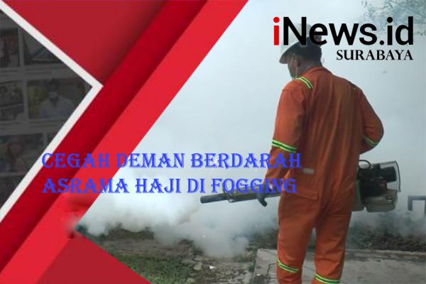 Cegah Demam Berdarah, Asrama Haji di Fogging