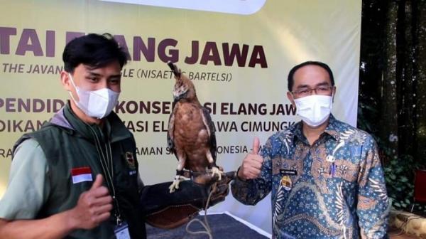 Konservasi Elang Jawa di Sukabumi, Lestarikan Kekayaan Hayati