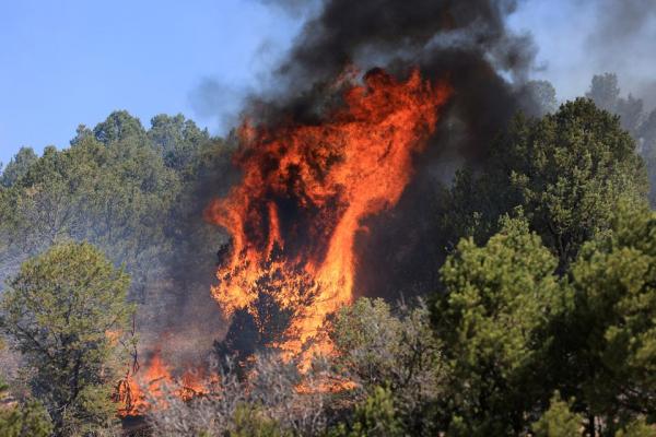Sitaro Siaga Kebakaran Hutan, Ini Langkah Pemerintah