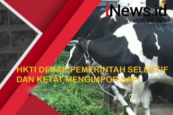 Penyakit Mulut dan Kuku Meresahkan, HKTI Desak Pemerintah Perketat Impor Sapi