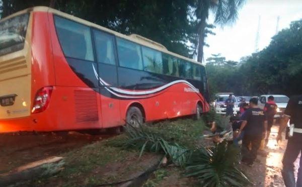 Bus Pariwisata Bawa 50 Siswa Madrasah Alami Kecelakaan