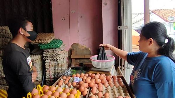 Harga Telur di Depok Naik Jadi Rp30 Ribu Per Kilogram, Imbas Kenaikan Harga Pakan