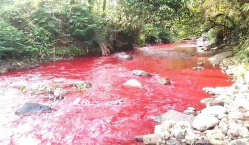 Air Sungai Cimeta Berubah Warna Menjadi Merah Darah, Hebohkan Warga.