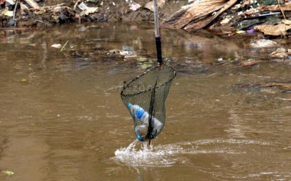 Mengolah Kembali Sampah Plastik di Pantai